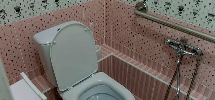Meeting Diverse Needs With Accessible Restroom Solutions in Clinton, MD