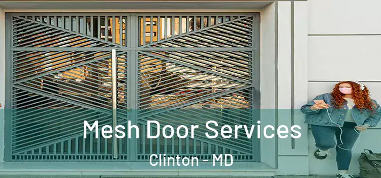 Mesh Door Services Clinton - MD